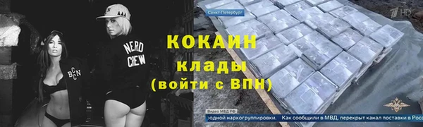 гашик Кулебаки