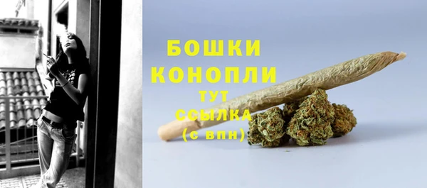 гидра Краснослободск