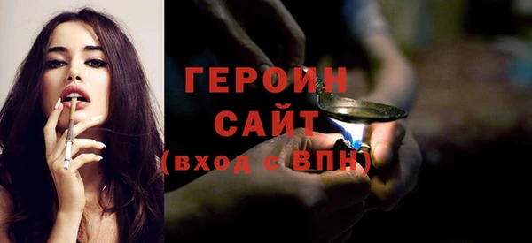 хмурый Тайга