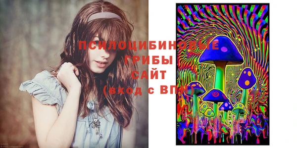 гашик Куйбышев