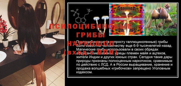 гашик Куйбышев