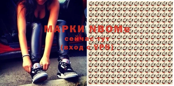 гашик Кулебаки