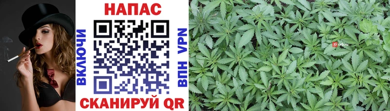 МАРИХУАНА SATIVA & INDICA  Азов 
